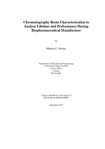 Ucl thesis submission image