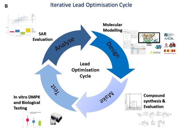 Computational Methods Used In Hit-to-Lead And Lead Optimization Stages ...