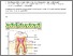 [thumbnail of Tsakos_NRDP_15_048 figures Pitts et al Dental Caries as accepted.pdf]