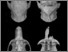 [thumbnail of Fig. 11. Capromys skulls.jpg]