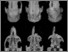 [thumbnail of Fig. 19. Geocapromys skulls.jpg]