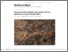 [thumbnail of Mining Giant Behind Deadly Dam Collapse Took Lax Approach to Corporate Responsibility.pdf]