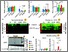 [thumbnail of Figure 13]