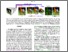 [thumbnail of Guler_HoloPose_Holistic_3D_Human_Reconstruction_In-The-Wild_CVPR_2019_paper.pdf]