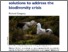 [thumbnail of Gregory R D Brit. Birds 113 8–23.pdf]