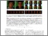 [thumbnail of Using_idle_facial_animation_to_increase_avatar_self_identification.pdf]