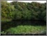 [thumbnail of ecrc_report_166_Goodrich_Norfolk Ponds.pdf]