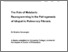 [thumbnail of BSELVARAJAH FINAL THESIS - The role of metabolic reprogramming in the pathogenesis of Idiopathic Pulmonary Fibrosis.pdf]