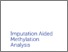 [thumbnail of moghul_imputation_aided_methylation_analysis.pdf]