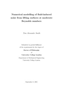 Numerical modelling of fluid induced noise from lifting surfaces