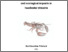 [thumbnail of Pritchard_EG_Thesis_Corrected_Final copyUCL.pdf]