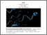 [thumbnail of Is sperm quality deteriorating worldwide - J Barry 01-02-2022.pdf]