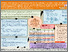[thumbnail of 2020 02 05b CLARKE Stampede Abi CEA poster FINAL.pdf]