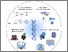 [thumbnail of Angewandte Chemie - 2023 - Xing - Functional Nanopores Enabled with DNA.pdf]