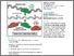 [thumbnail of King_Negative DNA supercoiling induces genome-wide Cas9 off-target activity_VoR.pdf]