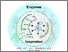 [thumbnail of From Biomimicking to Bioinspired Design.pdf]
