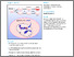 [thumbnail of A mammalian model reveals inorganic polyphosphate channeling into the nucleolus and induction of a hyper-condensate state.pdf]