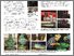 [thumbnail of Saunders poster_final.jpg]