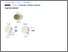 [thumbnail of 178920.1-20250521132020-covered-e0fd13ba177f913fd3156f593ead4cfd.pdf]