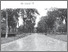 [thumbnail of Gutierrez_2025.pdf]