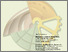 [thumbnail of ecsoc_interviewAL.pdf]