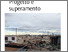 [thumbnail of 50D05_Mastromarino+et+al.pdf]