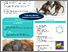 [thumbnail of Poster Royal Society Animal Minds copie 2.pdf]