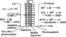 [thumbnail of JPG Fig. 8.   Schematic illustration of a photoreactor equipped with proton separator]