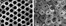 [thumbnail of JPG Fig. 2.   SEM images of (a) bare TiO2 nanotube and (b) Cu- and Pt-loaded TiO2 nanotube]