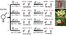 [thumbnail of TIFF Figure 2. Evolutionary pathways from hermaphroditism to separate sexes.]