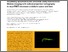 [thumbnail of Andrews et al Visualising apoptosis in live zebrafish using fluorescence lifetime imaging ... VoR.pdf]