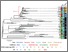 [thumbnail of Mather et al. AEM Figure 1.tiff]