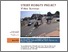 [thumbnail of Street Mobility Toolkit_Video surveys.pdf]