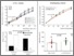 [thumbnail of David-A_placenta_gene therapy_Figure 1.tiff]