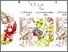 [thumbnail of Iharaetal_BJPFigures_Final.pdf]