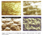 [thumbnail of The transfer and persistence of trace particulates: experimental studies using clothing fabrics: Figure 2]
